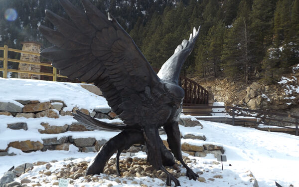 Black Hawk is optimistic for 2021 and wishing all a Merry Christmas!