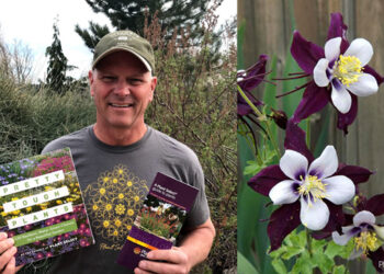 High altitude gardening in Gilpin