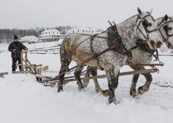 Turning back the pages