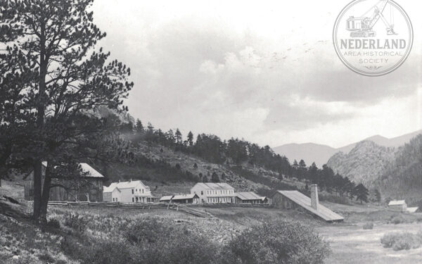 Turning back the pages