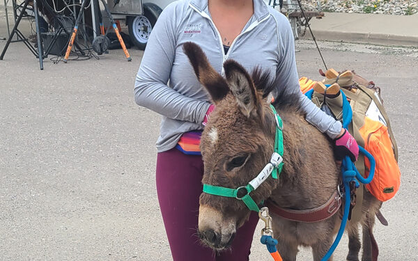 Burro racing in Colorado!
