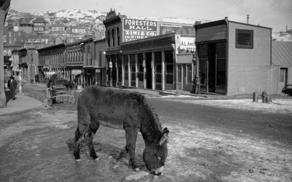 Turning back the pages